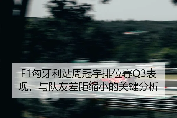 xiong-ya-li-zhan-zhou-guan-yu-pai-wei-sai-biao-xian-yu-dui-you-cha-ju-suo-xiao-de-guan-jian-fen-xi-2-273.jpg